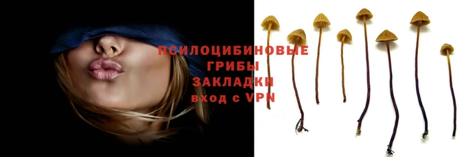 круглые Богородицк