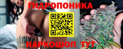 твердый Бийск