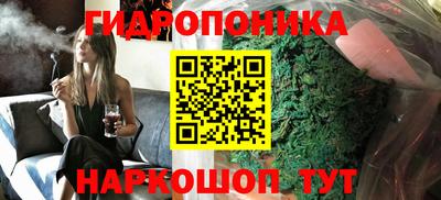 твердый Бийск