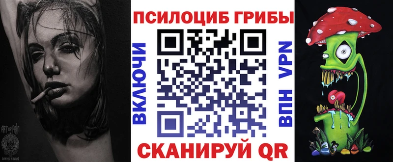 Псилоцибиновые грибы Magic Shrooms  Гатчина 