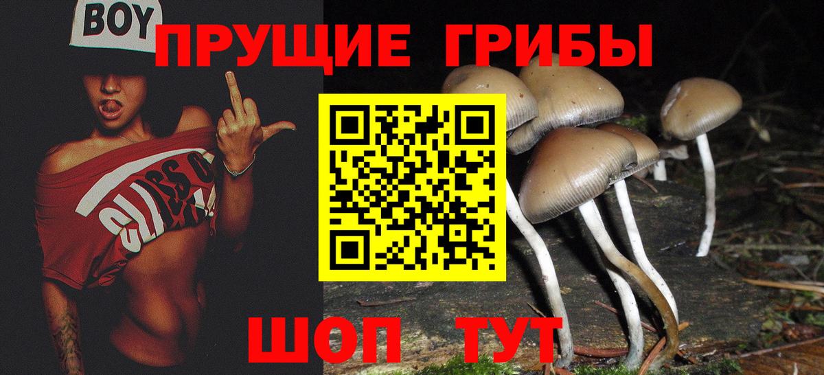 Псилоцибиновые грибы Magic Shrooms Гатчина