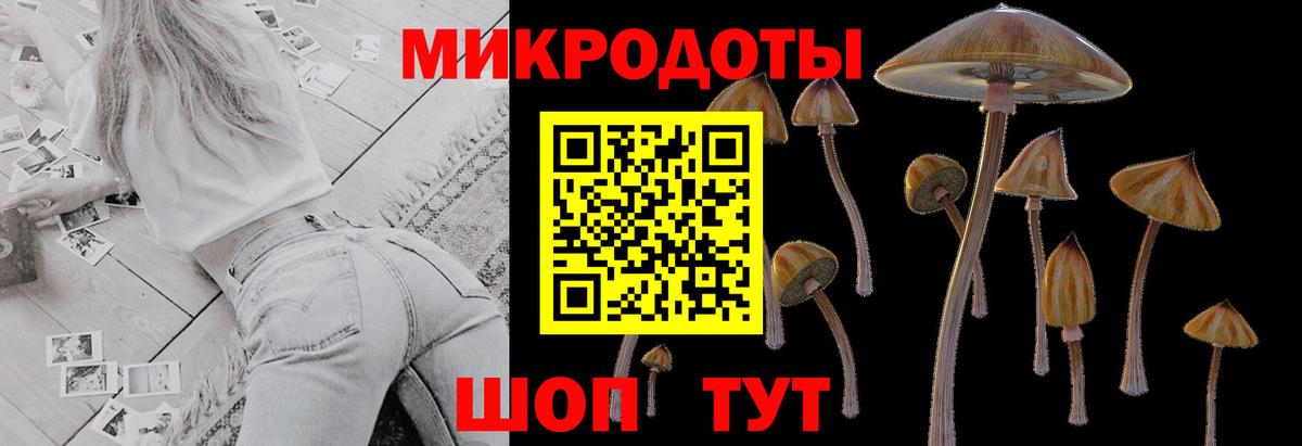 Альфа ПВП Гатчина